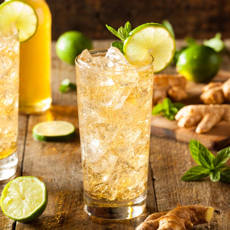 Der Tringer ist ein erfrischender Longdrink mit Traveschluck Aquavit und Ginger Ale. Einfach zubereitet und perfekt für einen lauen Sommerabend.