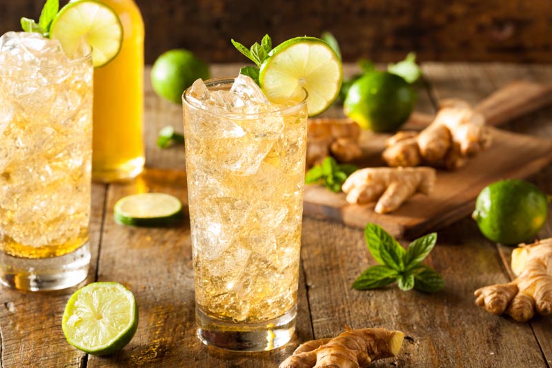 Der Tringer ist ein erfrischender Longdrink mit Traveschluck Aquavit und Ginger Ale. Einfach zubereitet und perfekt für einen lauen Sommerabend.